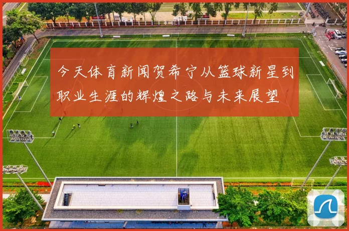 今天体育新闻贺希宁从篮球新星到职业生涯的辉煌之路与未来展望
