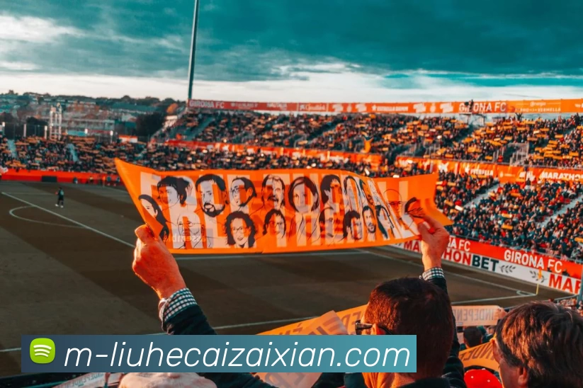 在线六合彩平台生态图