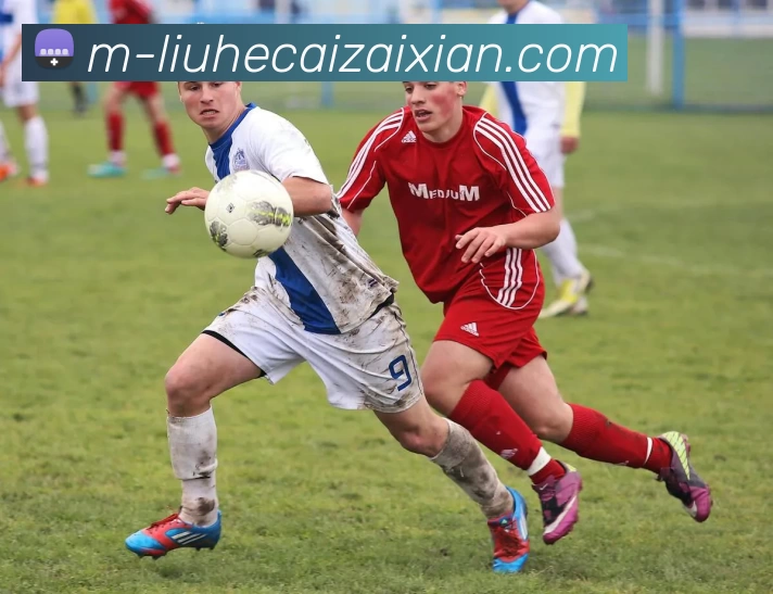 在线六合彩全站App